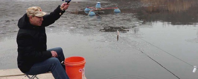 窝料介绍(窝料配制大全)