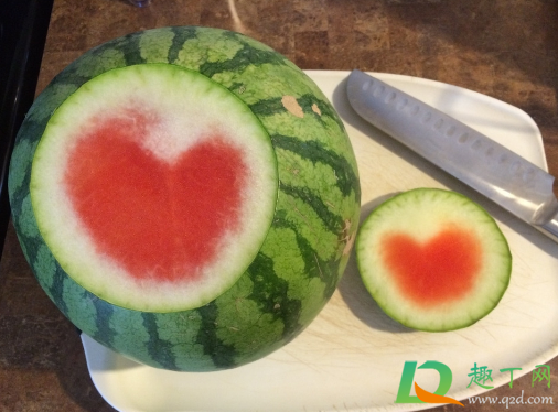 西瓜皮能养花吗(西瓜皮能当做养花肥料吗)