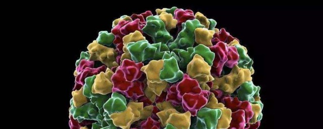 什么是诺如病毒(什么是诺如病毒的症状和治疗方法)