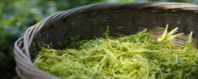 大家不妨去喝喝(能喝喝不能喝别喝)