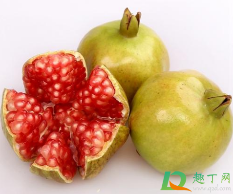 石榴买回来不熟可以催熟吗(番石榴需要催熟吗)