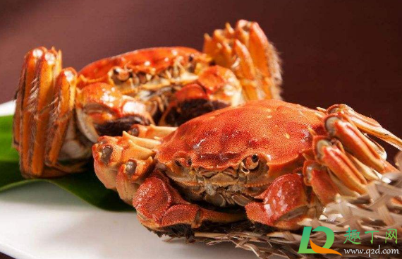 螃蟹死了不超过12个小时能不能吃了(螃蟹死几个小时就不能吃了)