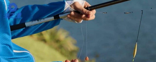 教你钓大鱼(钓大鱼的钓法)