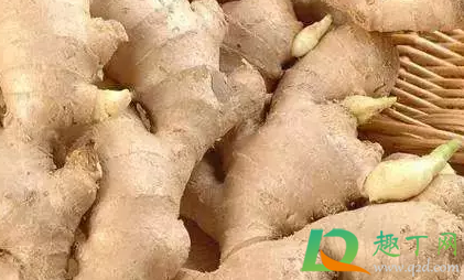 紫薯如何保存不会发芽(紫薯会不会发芽)