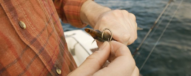 钩距受哪些因素影响(钩距大的好处)