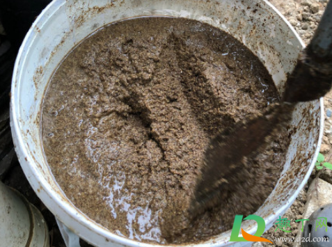 菜籽饼发酵要臭多长时间(菜籽饼发酵多长时间能用) 菜籽饼发酵要臭多长时间(菜籽饼发酵多长时间能用)