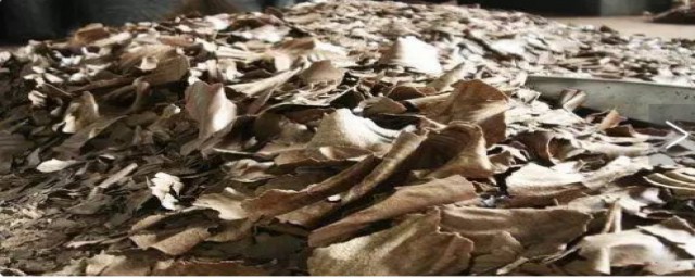 花生麸能用来钓鱼吗(花生麸可以钓鲫鱼吗)