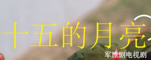 十五的月亮电视剧类型(十五的月亮电视剧好看吗)