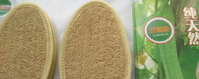 丝瓜络主要用途有哪些(丝瓜络与丝瓜络的区别和功效)