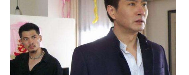 电视剧罪域讲的是什么(电视剧罪域介绍)