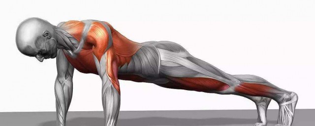 做俯卧撑的好处有很多(做俯卧撑能有什么好处)