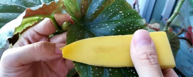 生活小技巧分享(生活小技巧分享,可以用什么词语来形容)