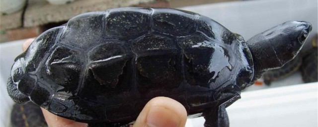 跟大家聊聊(跟大家聊聊人间那些事)