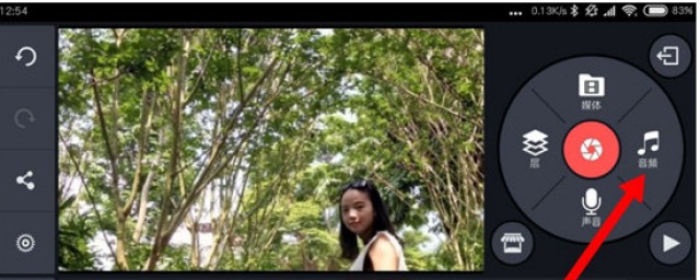 导入音频的方法(导入音频文件)