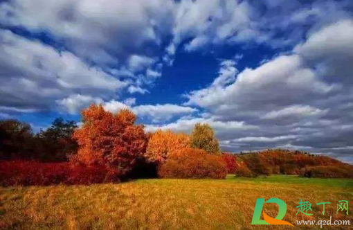 2020年10月有几天假(2020年10月几天假期) 2020年10月有几天假(2020年10月几天假期)