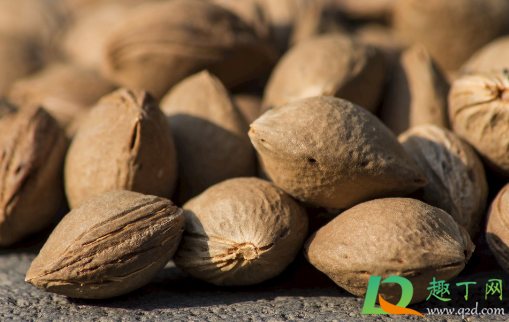 杏的核可以直接种吗(杏核能种吗种完能接杏子吗)