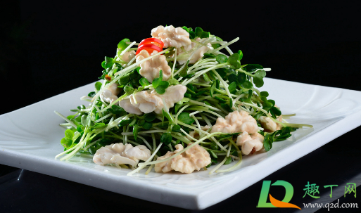 萝卜苗能放在冰箱里保存不(新鲜的萝卜苗吃不完怎么保存)