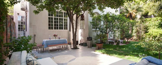 种这些最吉利(最吉利的盆栽植物有哪些)