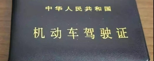 方向盘三轮车用D证(d证驾驶证能驾驶方向盘三轮车吗)