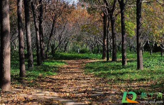 2020年国庆节穿长袖还是短袖(五一穿短袖还是穿长袖2020)