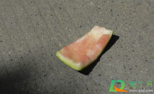 西瓜皮能养花吗(西瓜皮能当做养花肥料吗)