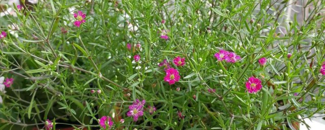 这些工作一定要做好(为什么一定要做好这份工作)