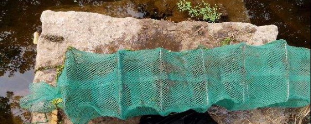 地笼饵料(地笼饵料怎么做)