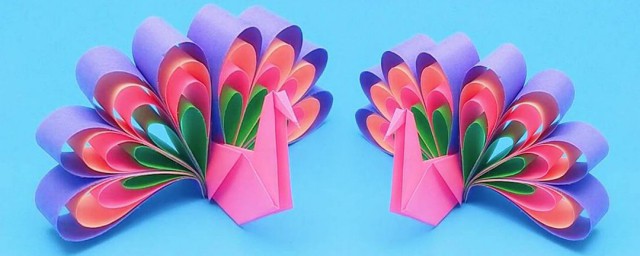 具体要点介绍(有几个要点)