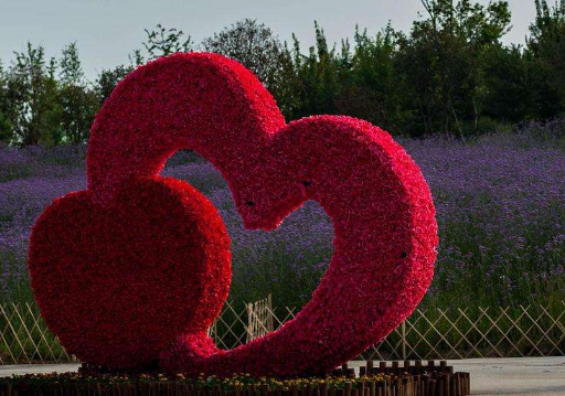 国庆去武汉玩住哪里方便(国庆去武汉好玩吗) 国庆去武汉玩住哪里方便(国庆去武汉好玩吗)