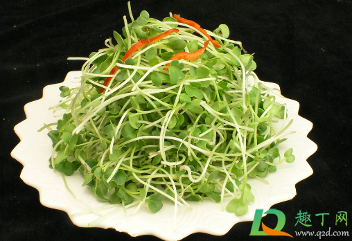 萝卜苗能放在冰箱里保存不(新鲜的萝卜苗吃不完怎么保存)