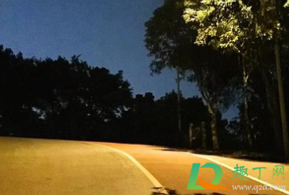 夜跑几点开始比较好(夜跑最好是几点)