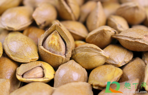 杏的核可以直接种吗(杏核能种吗种完能接杏子吗)