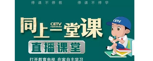 这个节目主要包括哪些内容(节目的内容)