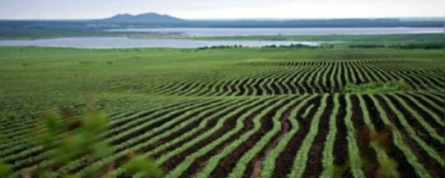 仪器测量法(仪器测量法利弊)