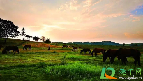 木兰草原白天好玩还是晚上(木兰草原风景区晚上可以去吗)