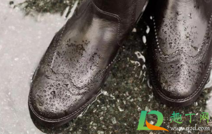 皮鞋泡水了怎么让他变干(皮鞋泡湿如何干燥) 皮鞋泡水了怎么让他变干(皮鞋泡湿如何干燥)