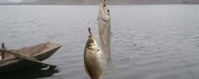 教你几招(教你几招轻松消除眼袋)