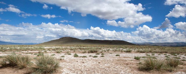 盐碱地是怎么形成的(盐碱地的由来)