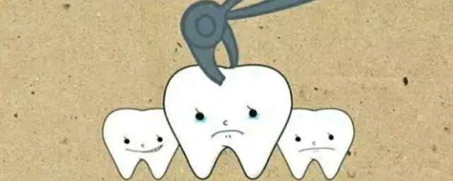 30岁会长吗(30岁还会长身体吗)