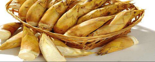 找墨绿的竹叶会有冬笋(蓝竹有没有冬笋)