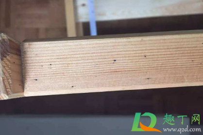 床虫咬了很痒怎么止痒(床上有虫子咬人很痒怎么办怎样消灭)