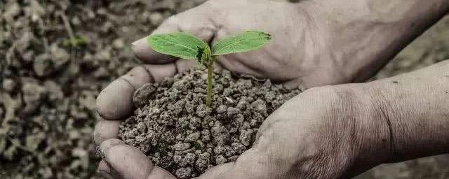 国家对复合肥有什么标准(国家对复合肥的质量标准)