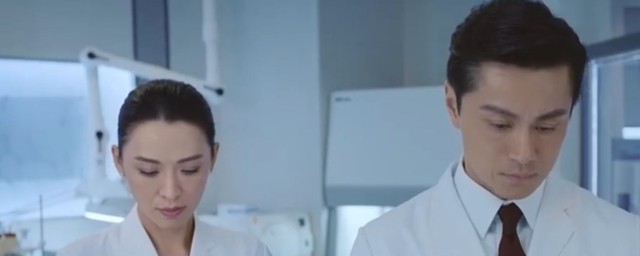 这部剧的剧情简介是什么(这部剧主要讲了什么)