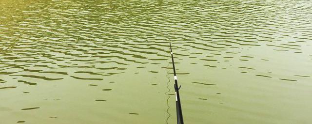 拉饵学会这5个小窍门上鱼率提高10倍(拉鱼饵怎么拉)