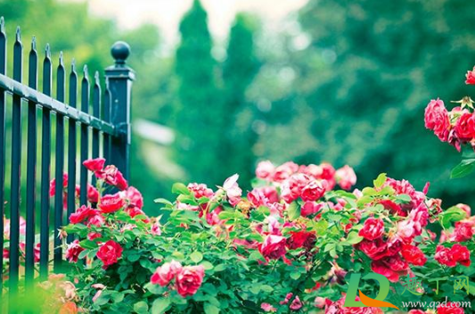 2020年10月有几个工作日(2020年10月份有多少个工作日) 2020年10月有几个工作日(2020年10月份有多少个工作日)