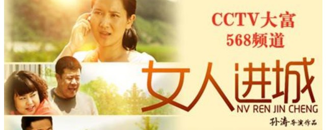 电视剧女人进城讲的是什么(女人进城电视剧情分集介绍)