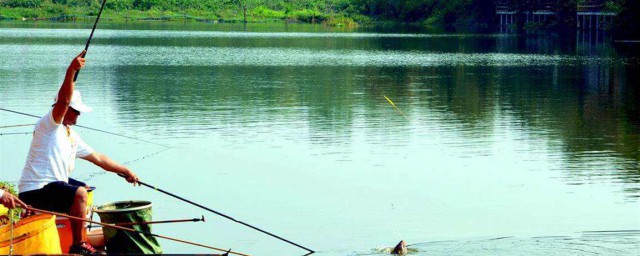 什么时间段钓鱼好(什么时间段钓鱼最好钓?)