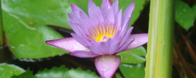 方法简单现在教给你(给我简单的方法)