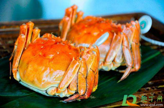 蒸熟的螃蟹怎么判断是死的还是活的(螃蟹死活蒸熟区别)