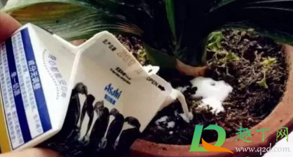 过期牛奶敷面膜会不会过敏(酸奶过期做面膜能过敏吗?)